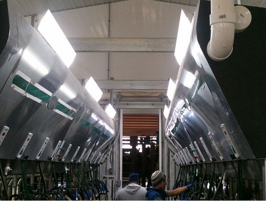 Σταθερά τρέχοντα οδηγημένα γραμμικά φω'τα 85Watt AC100 - 277V 3/5 έτη εξουσιοδότησης